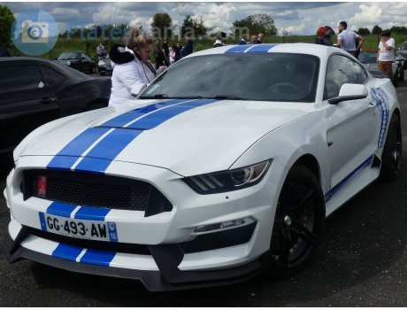 GG-493-AW, Ford Mustang