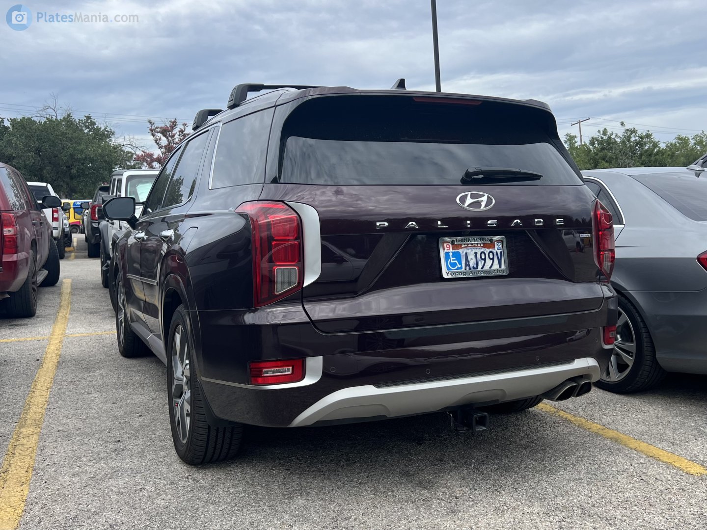 AJ99V, Hyundai Palisade 1st gen (LX2), 2019–2022