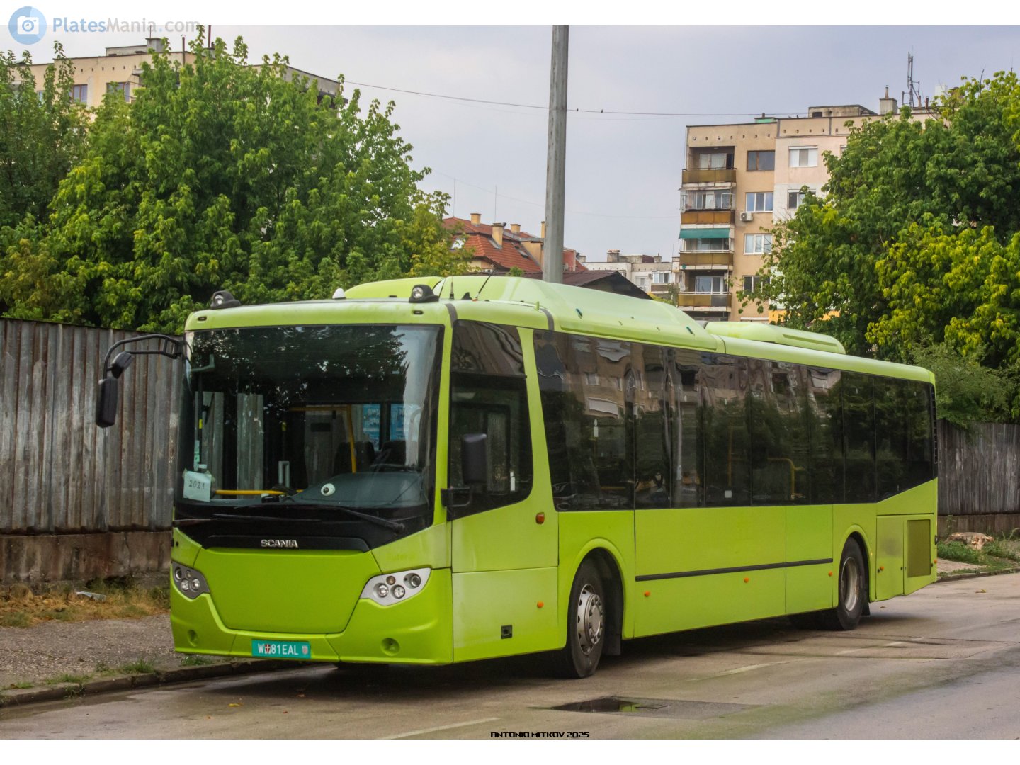 W 81 EAL, Scania OmniExpress City Bus (320/320LE), 2011–2017