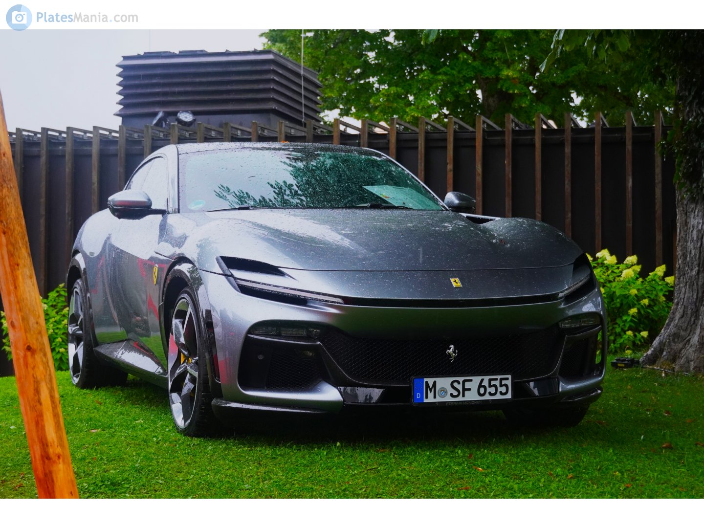 M SF 655, Ferrari Purosangue 1st gen (F175), 2023–