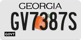Georgia, Government (GV1234X)