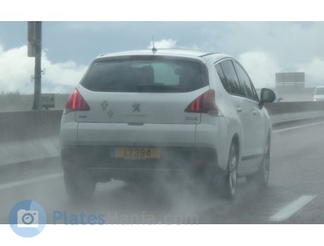 17394, Peugeot 3008
