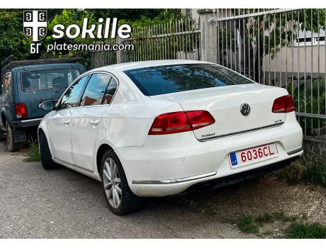 6036 CL, Volkswagen Passat