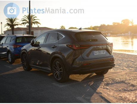 GJ-587-AP, Lexus NX
