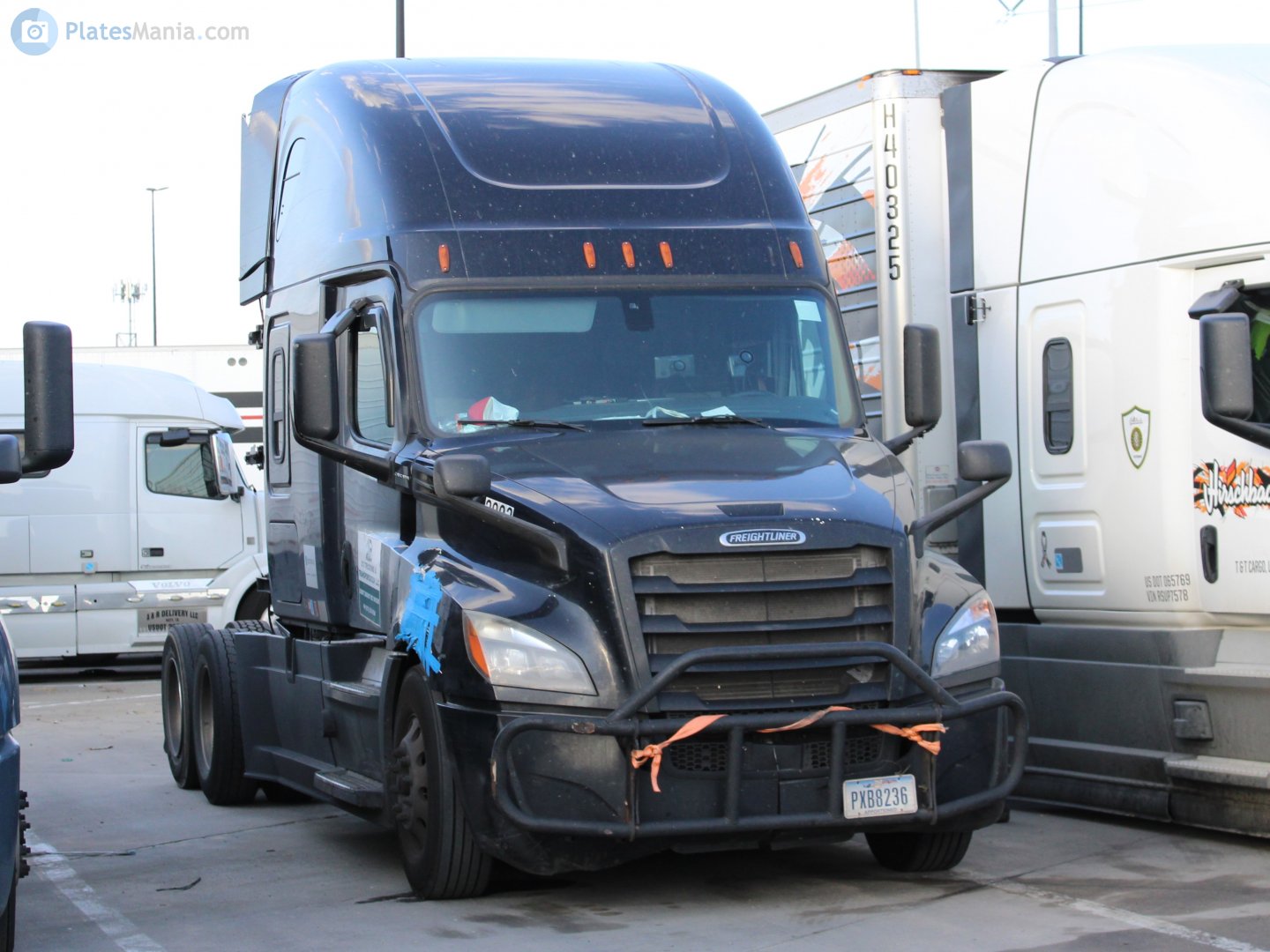 PXB 8236, Freightliner Cascadia 2nd gen, 2017–
