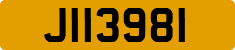 J113981