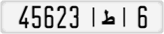45623|ط|6
