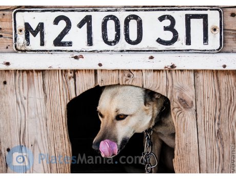 м 2100 ЗП, License plate without vehicle