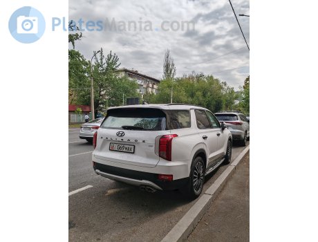 01 069 MAX, Hyundai Palisade