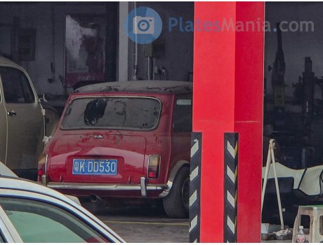 粤K·DD530, Leyland Mini