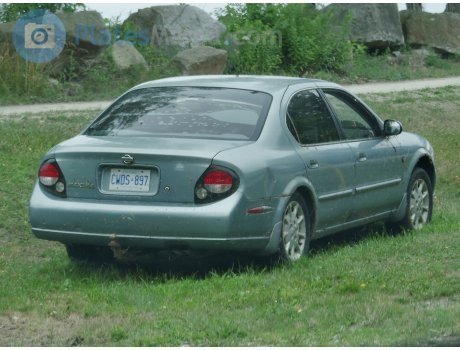 CWDS-897, Nissan Maxima