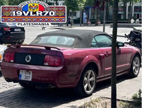 1-GYN-307, Ford Mustang