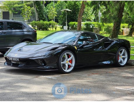 SNF 800 K, Ferrari F8