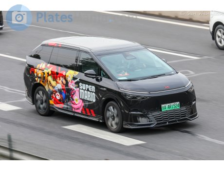 京A·AR1524, XPeng X9