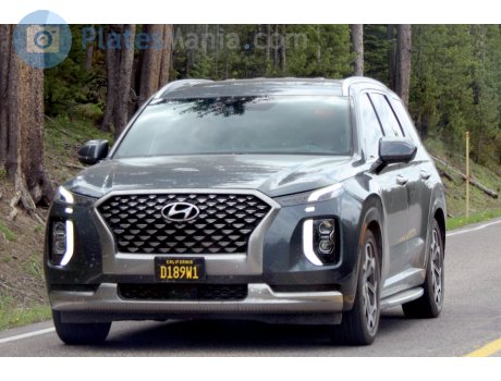D189W1, Hyundai Palisade