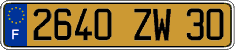 French license plate, FNI