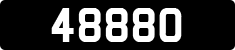 48880