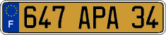French license plate, FNI