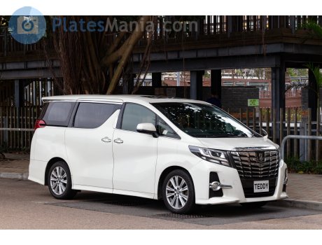TEDDY, Toyota Alphard