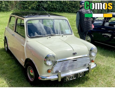 NZL 101, Austin Mini