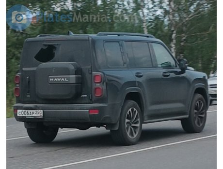 с006ар250, Haval H9