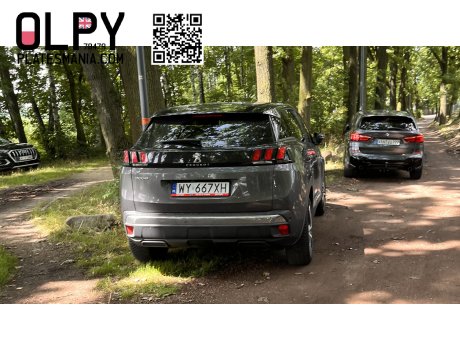 WY 667XH, Peugeot 3008