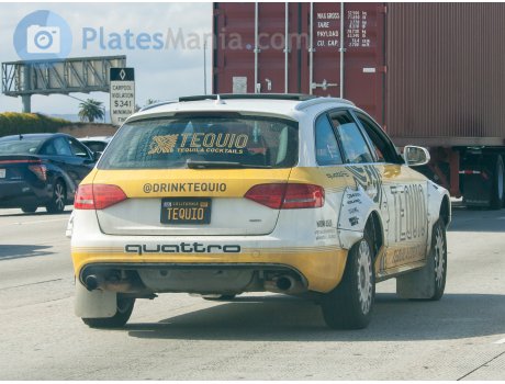 TEQUIO, Audi A4