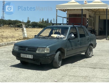 12273|‎أ|‎1, Peugeot 309