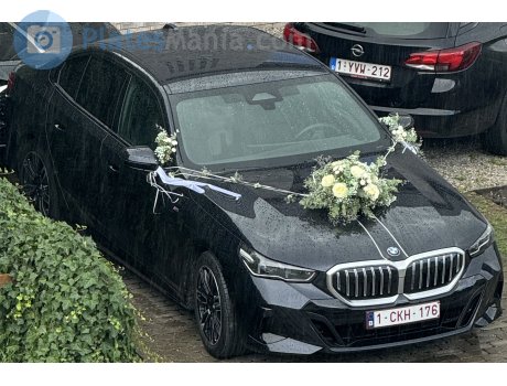 1-CKH-176, BMW 5 Series