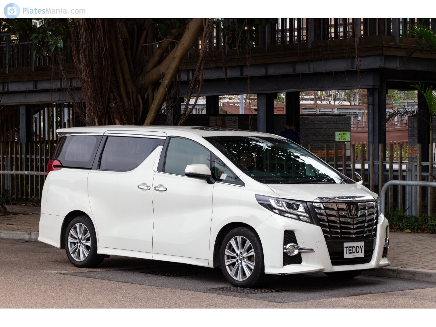TEDDY, Toyota Alphard 3rd gen (AH30), 2015­–2023