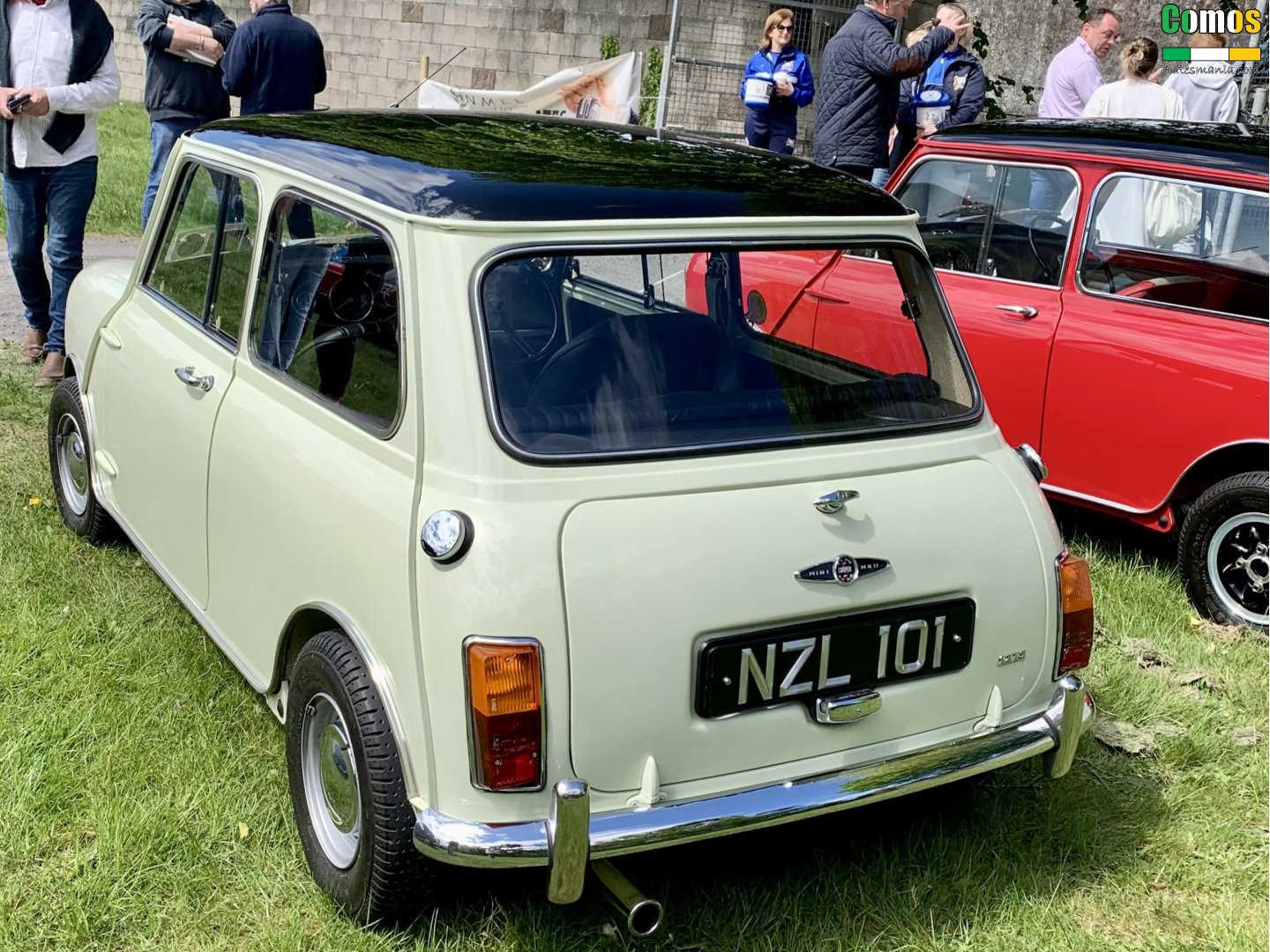 NZL101, Austin Mini 