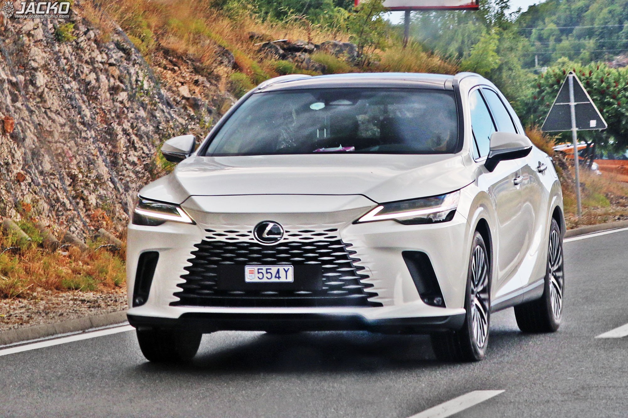 554Y, Lexus RX 5th gen (AL30), 2022–