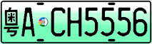 License plate of China, Electric vehicles