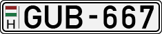 GUB-667