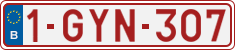 1-GYN-307