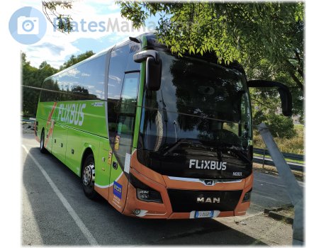 FS 055 BY, MAN Lion