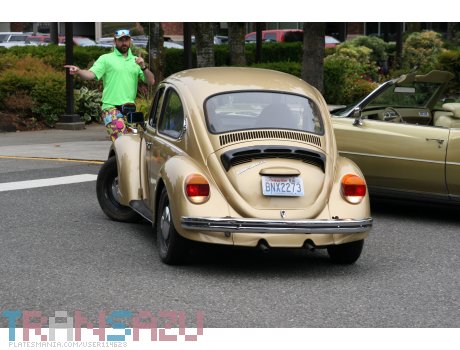 BNX2273, Volkswagen Beetle