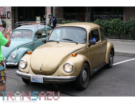 BNX2273, Volkswagen Beetle