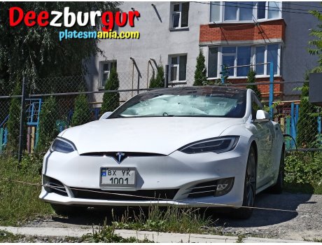 BX 1001 YK, Tesla Model S