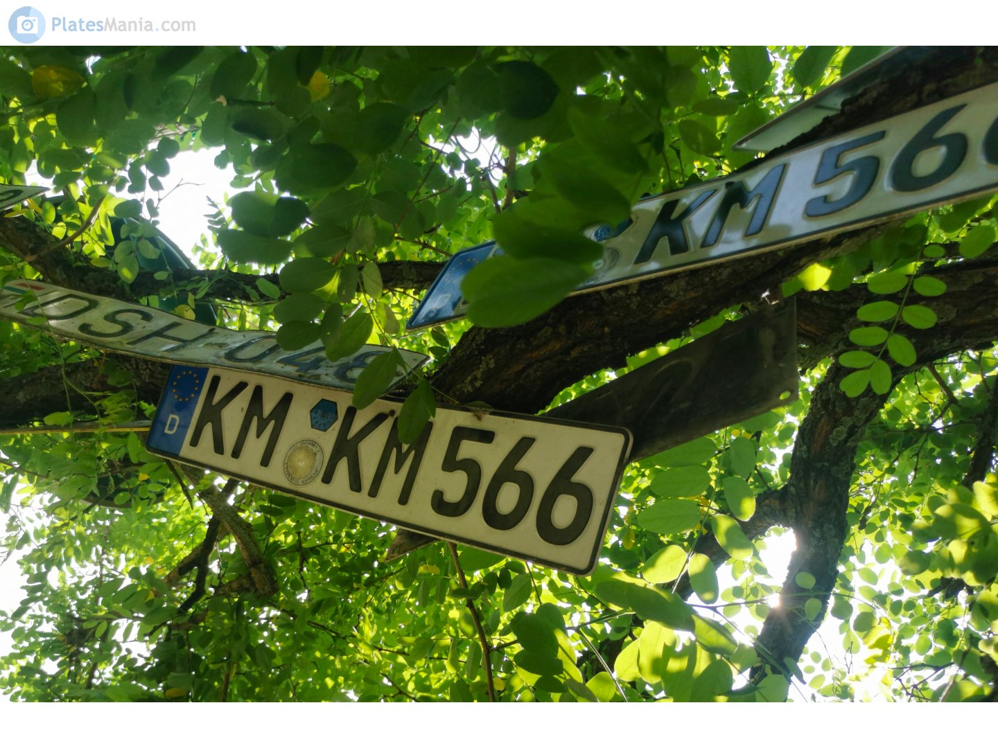 KM KM 566, License plate without vehicle 