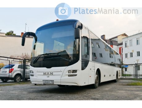 с602мр136, MAN Lion