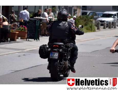 66 BUDDY, Harley-Davidson Pan America