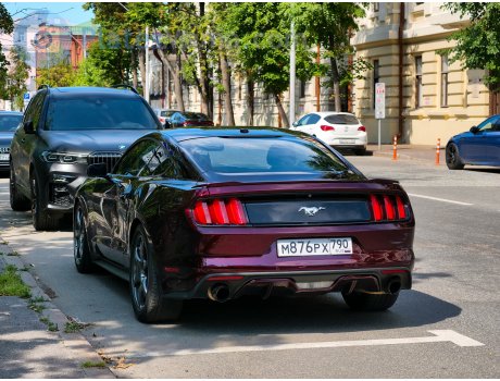 м876рх790, Ford Mustang