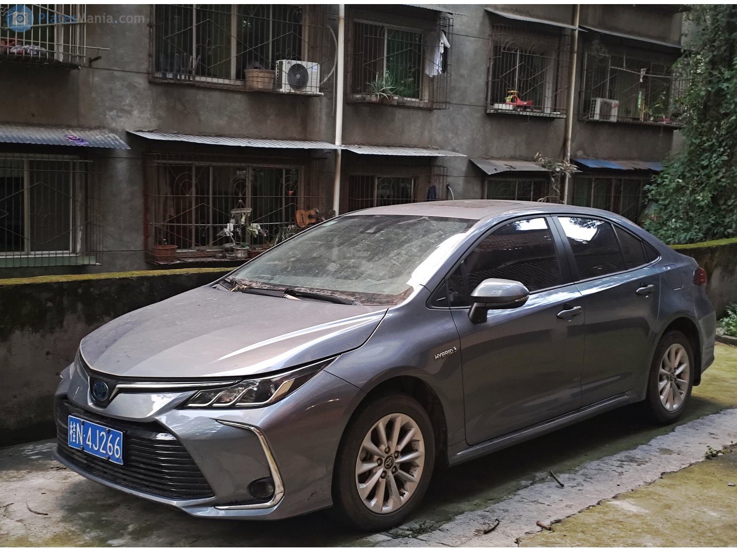 桂N·4J266, Toyota Corolla 12th gen (Altis) Sedan (E210; Global-market), 2019–
