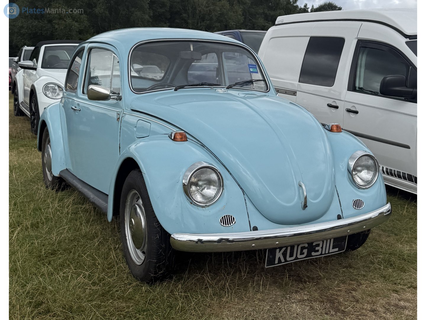 KUG311L, Volkswagen Beetle 1st gen Sedan (Type 1), 1938­–2003