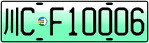 License plate of China, Electric vehicles