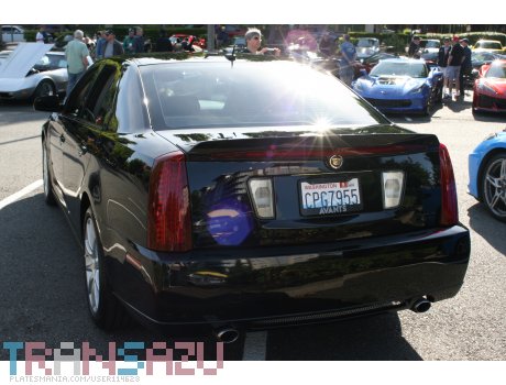 CPG7955, Cadillac STS