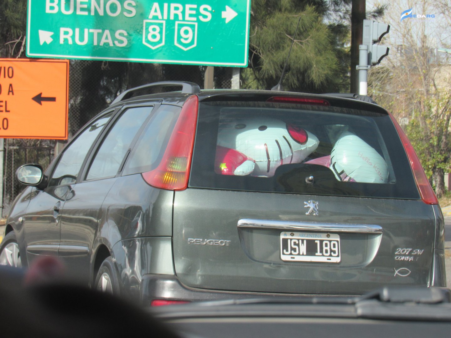 JSW 189, Peugeot 207 SW Wagon (rebadged 206; LATAM-market), 2008–2014