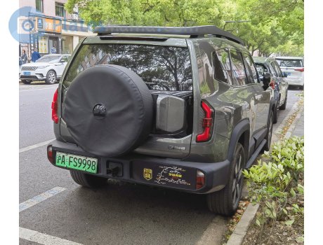 沪A·FS9998, Deepal (Shenlan) G318