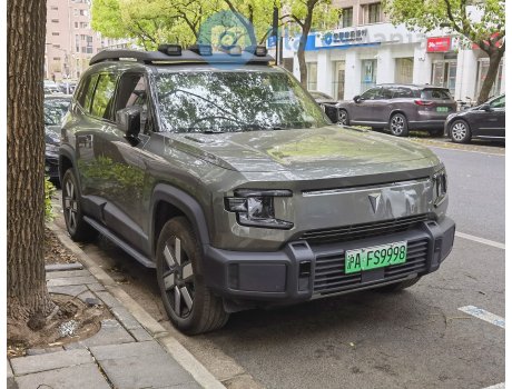 沪A·FS9998, Deepal (Shenlan) G318